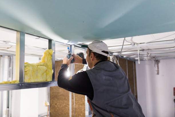 Best Spray Foam Insulation in Arthur, IL