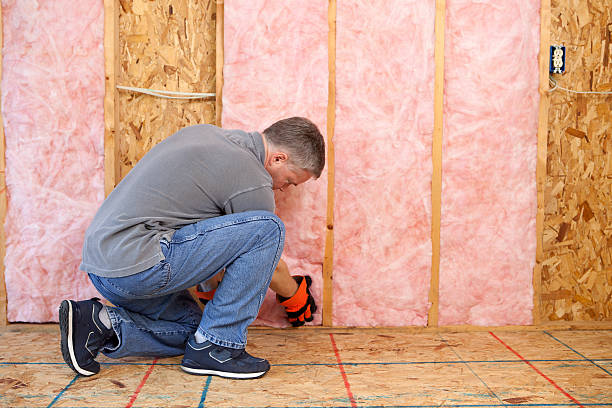 Best Eco-Friendly Insulation in Arthur, IL